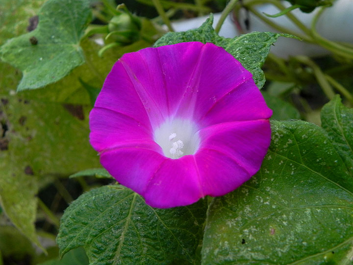 DSCN7831