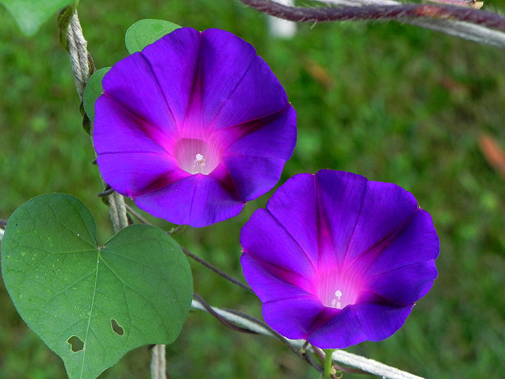 DSCN9195