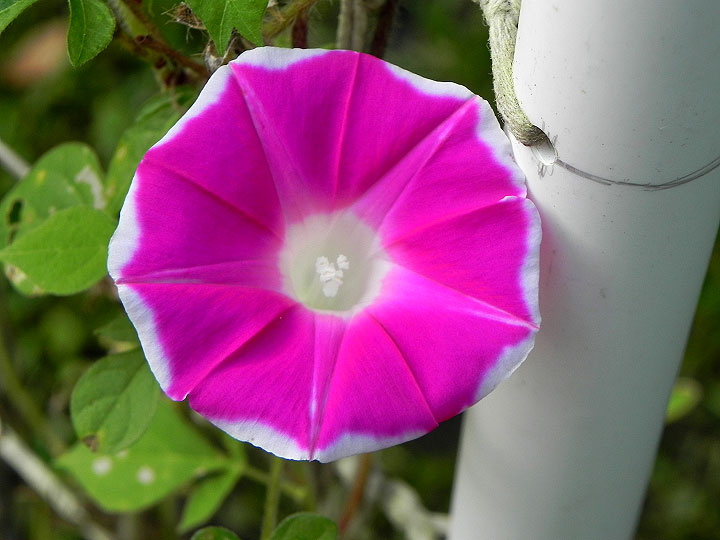 DSCN9196