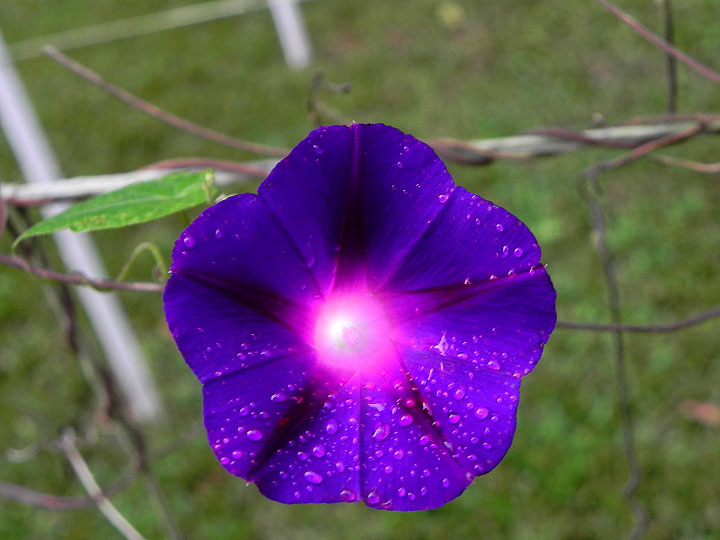 DSCN9594_01