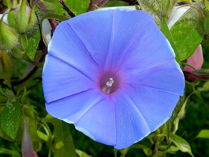 DSCN0009