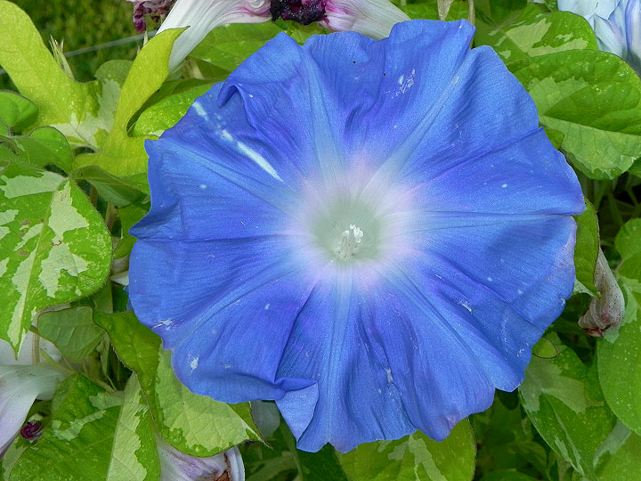 DSCN0020