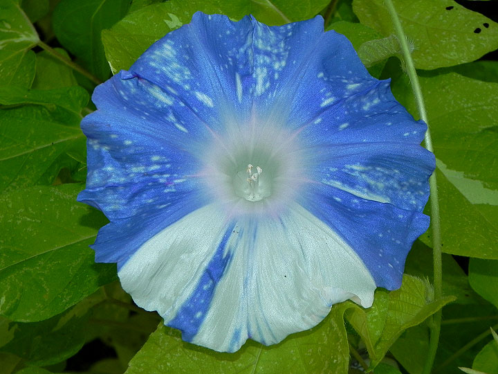 DSCN0160