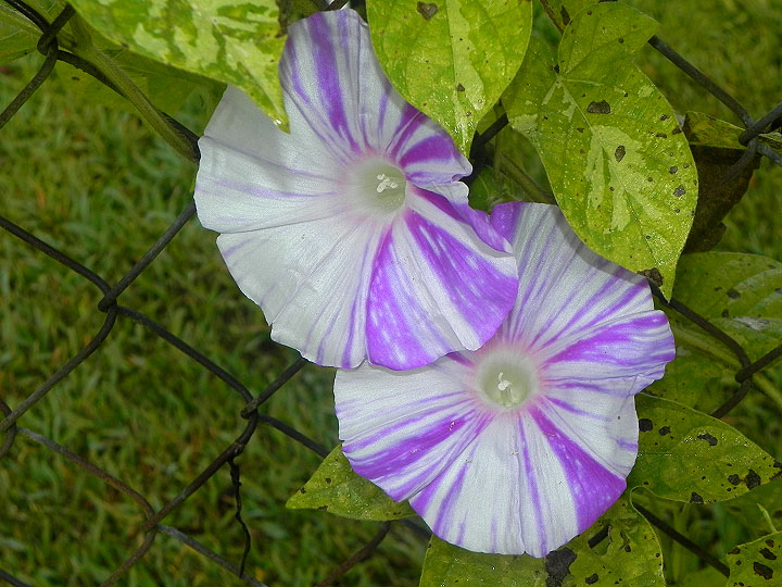 DSCN0176