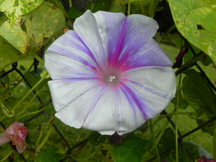 DSCN0178