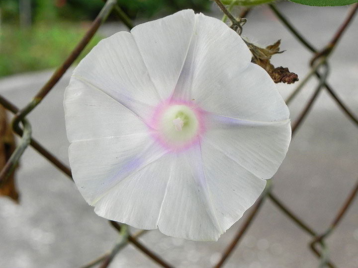 DSCN0338_01