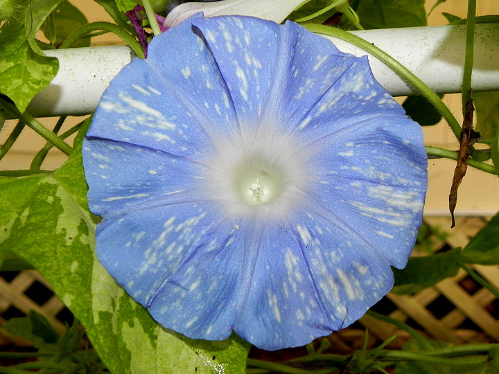 DSCN0392