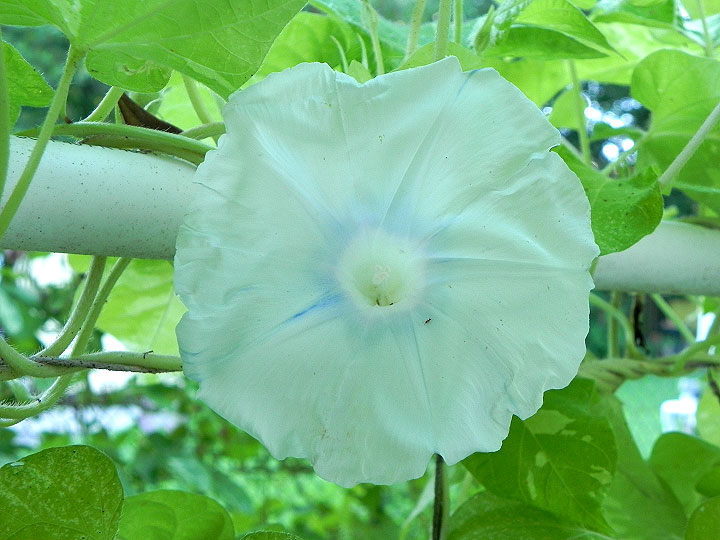 DSCN0439
