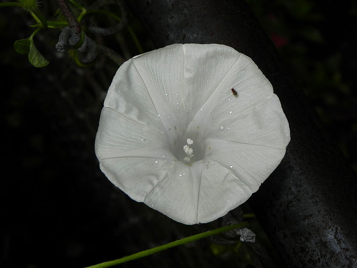 DSCN0526