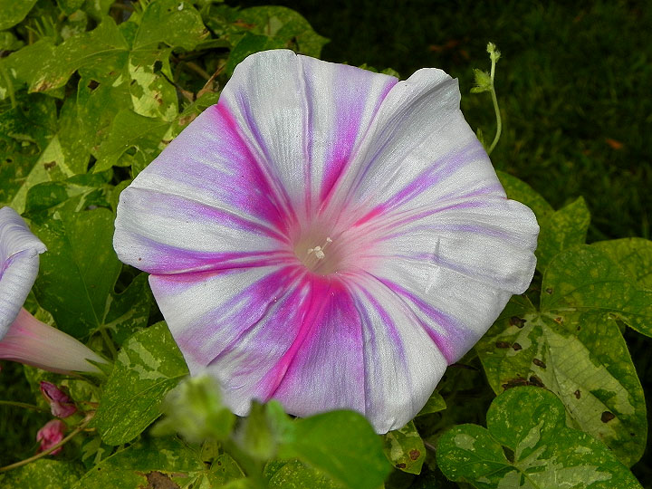 DSCN0668
