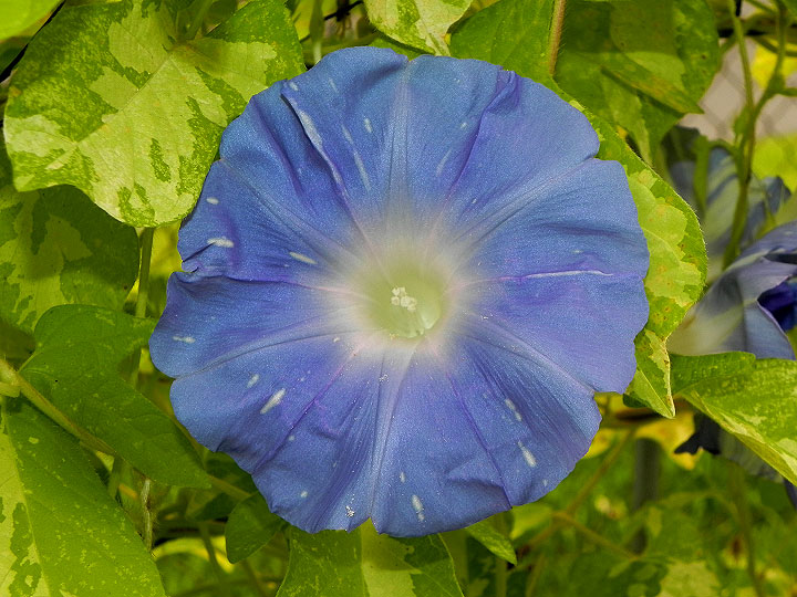 DSCN0696