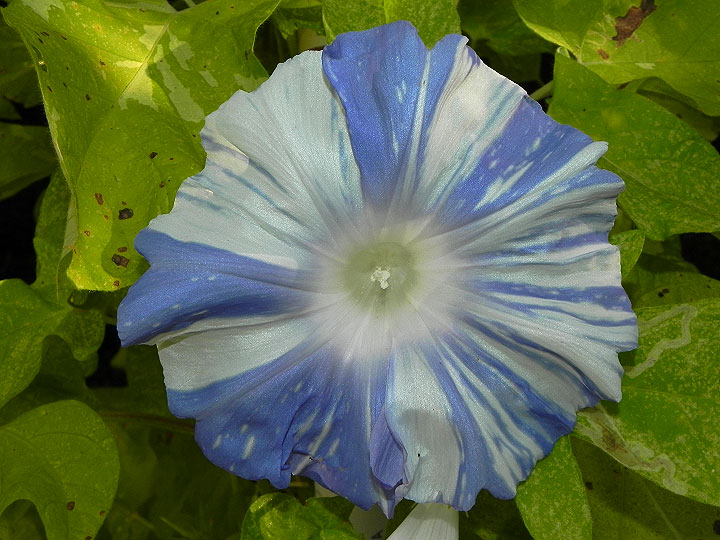DSCN1158