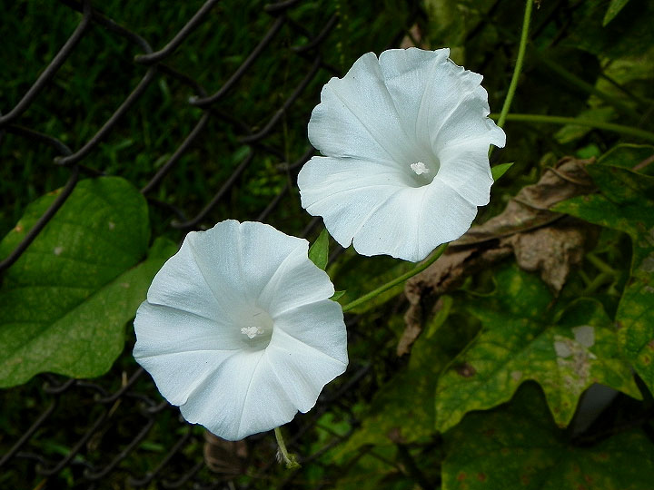 DSCN1289