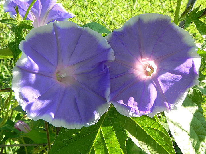 DSCN2480_01