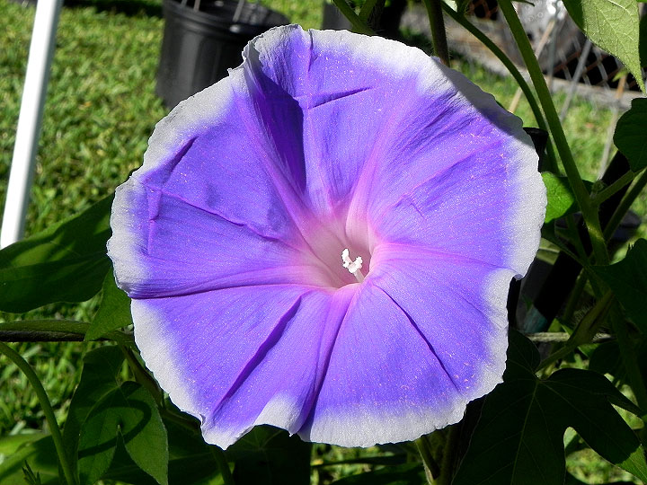 DSCN2483