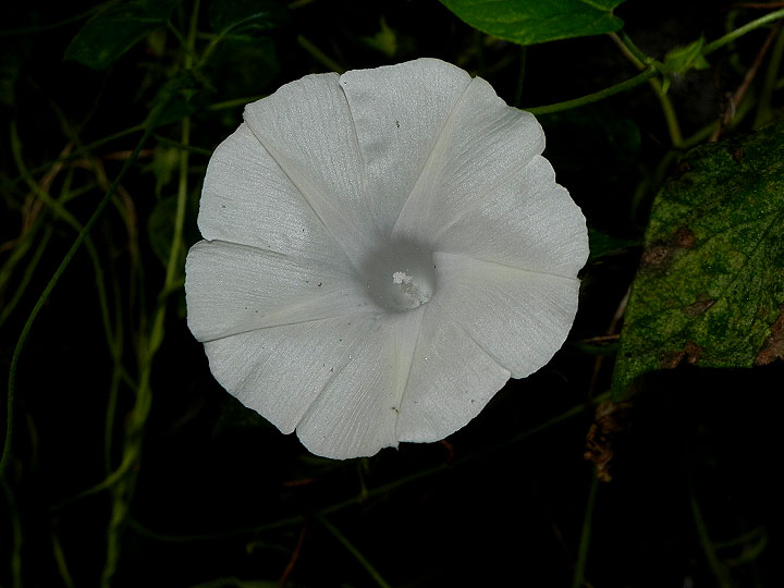 DSCN2519