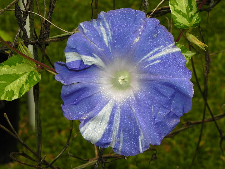 DSCN2598
