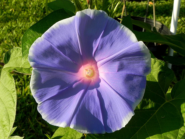 DSCN2852