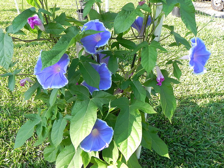 DSCN2905_01