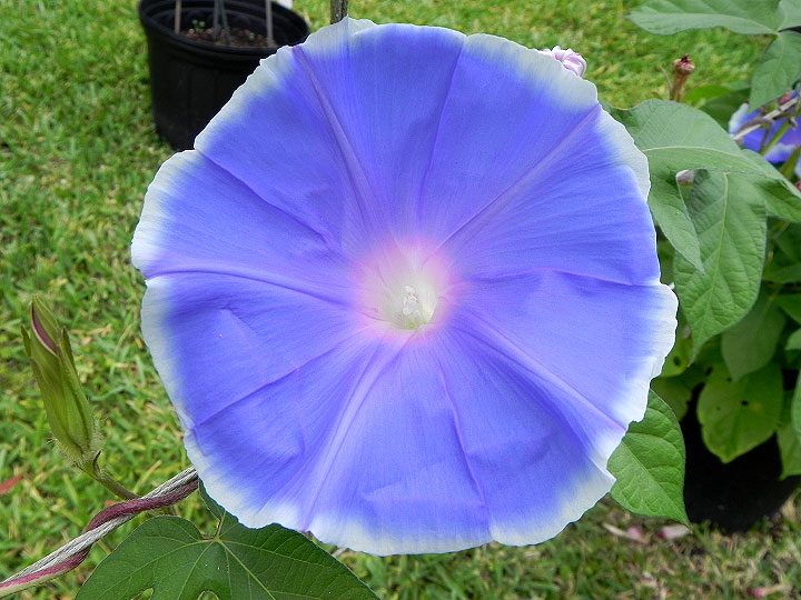 DSCN2968_01