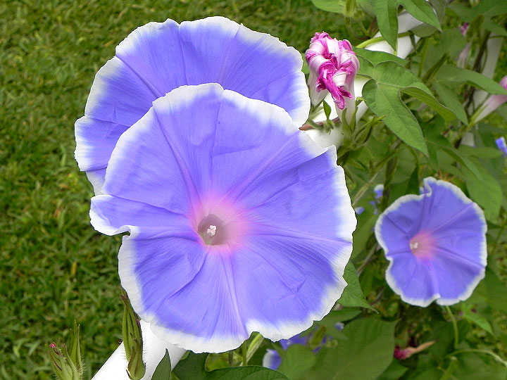 DSCN3070