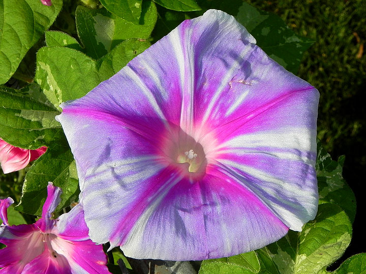 DSCN3665