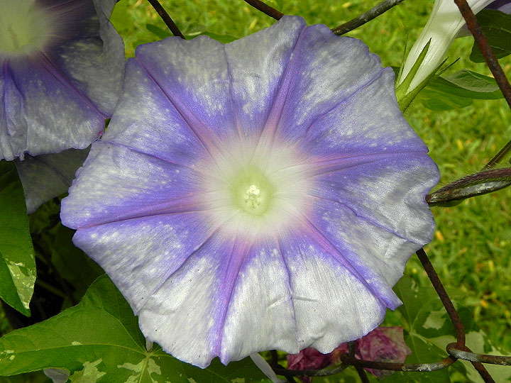 DSCN3878