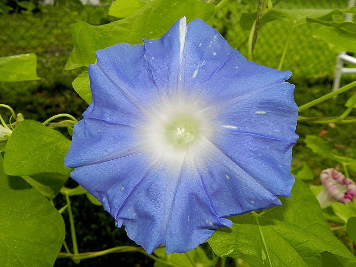 DSCN3994