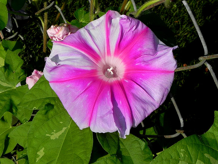 DSCN4025