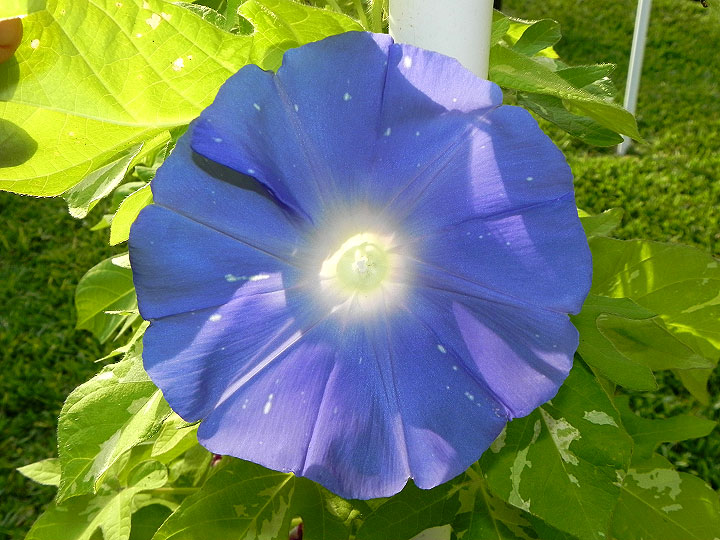 DSCN4244