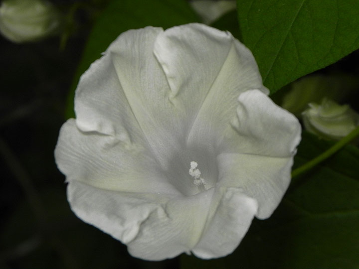 DSCN4326_01