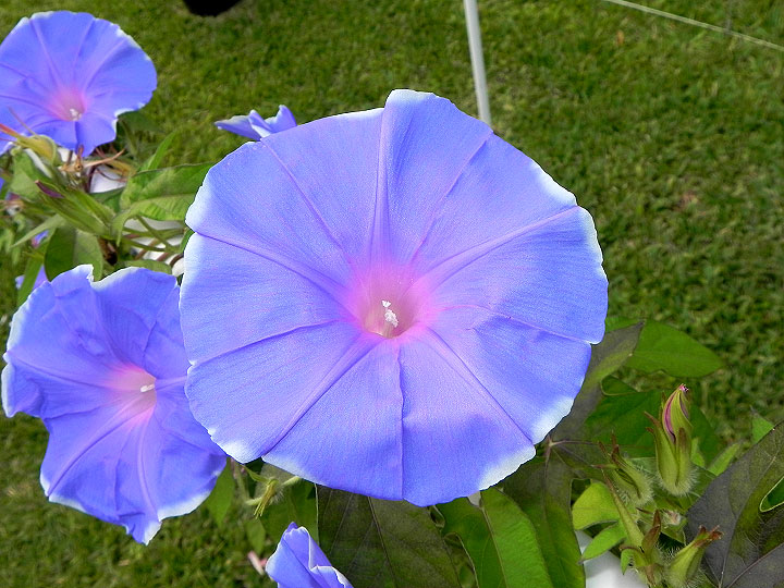 DSCN4345
