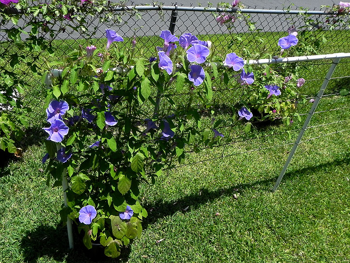 DSCN4628
