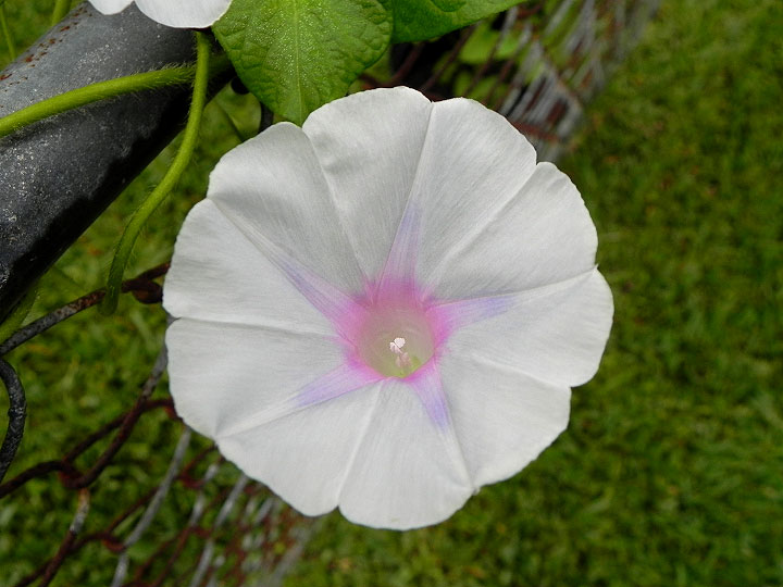 DSCN4811_01
