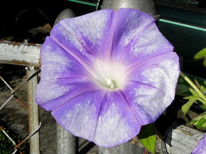 DSCN4945