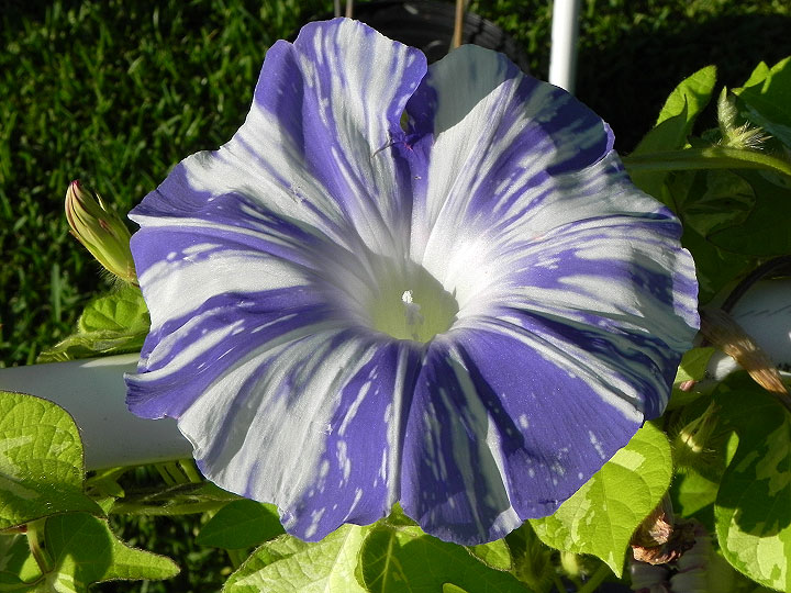 DSCN4968_01
