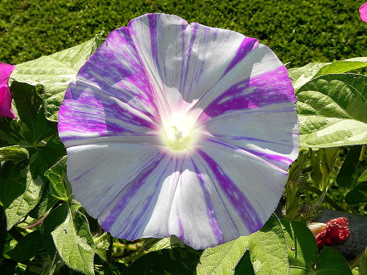 DSCN4982_01