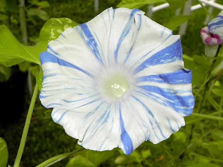 DSCN5078