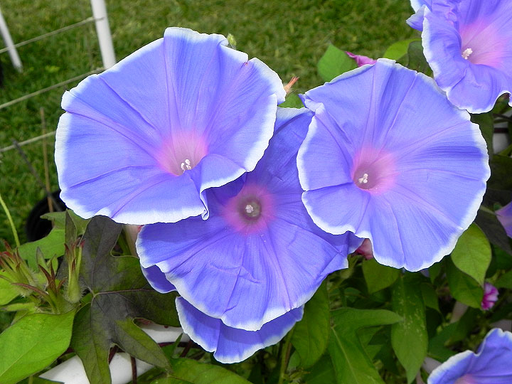 DSCN5112_02