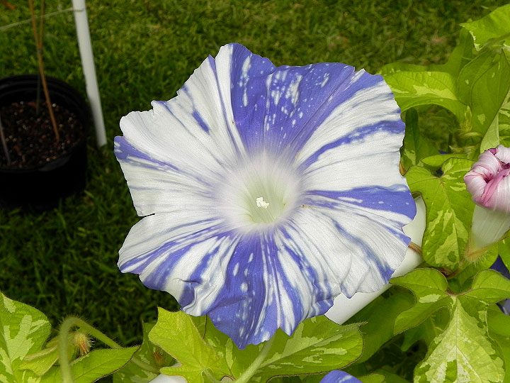 DSCN5123_02