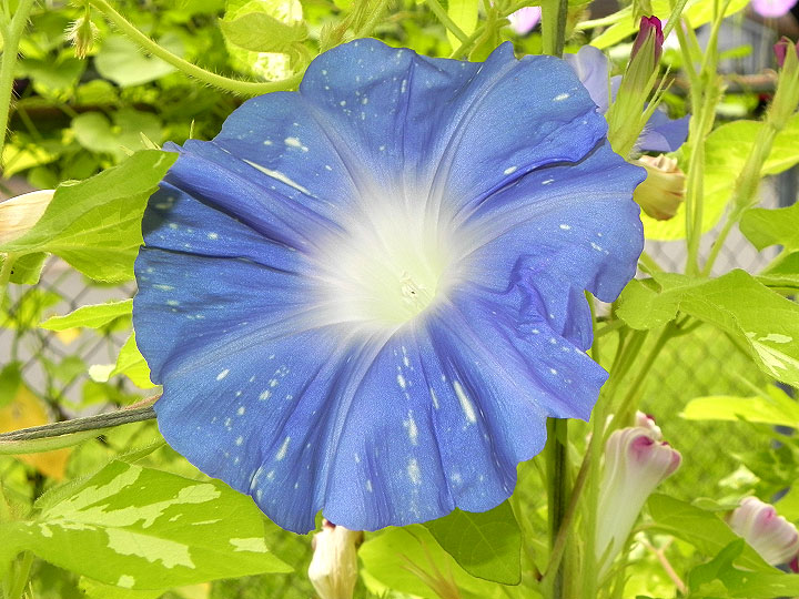 DSCN5127_02