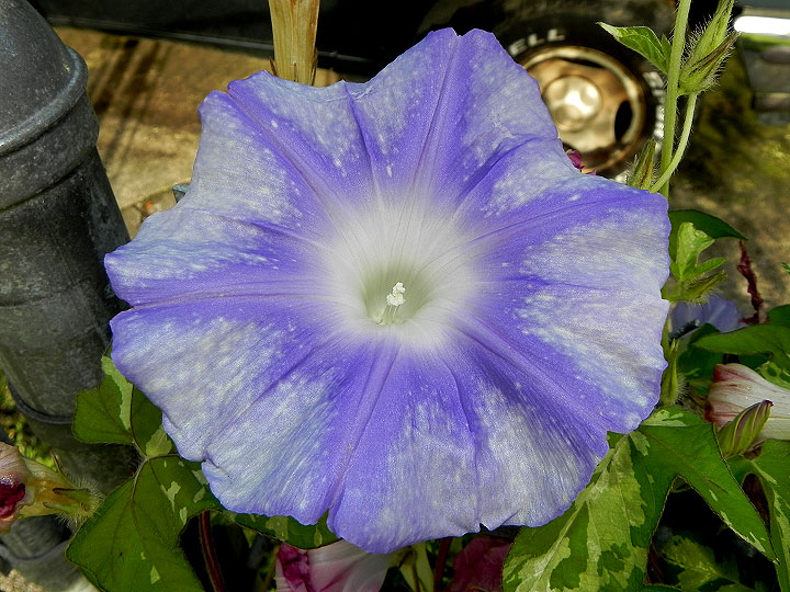 DSCN5280