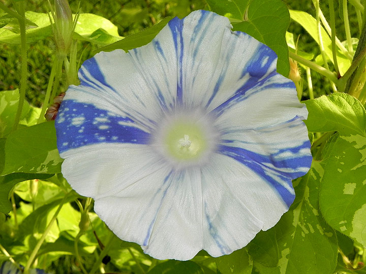 DSCN5301_01