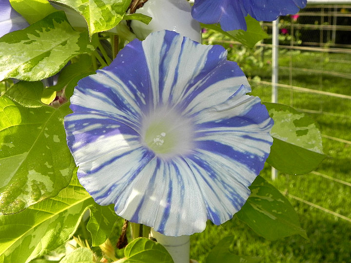 DSCN5303_01
