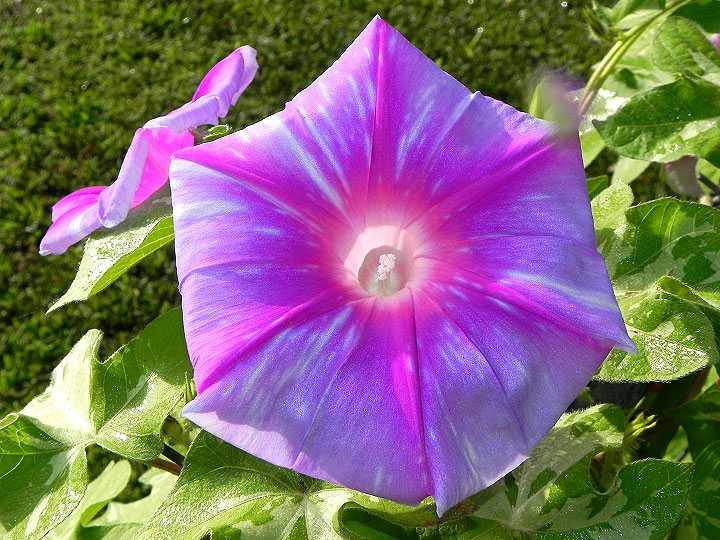 DSCN5320