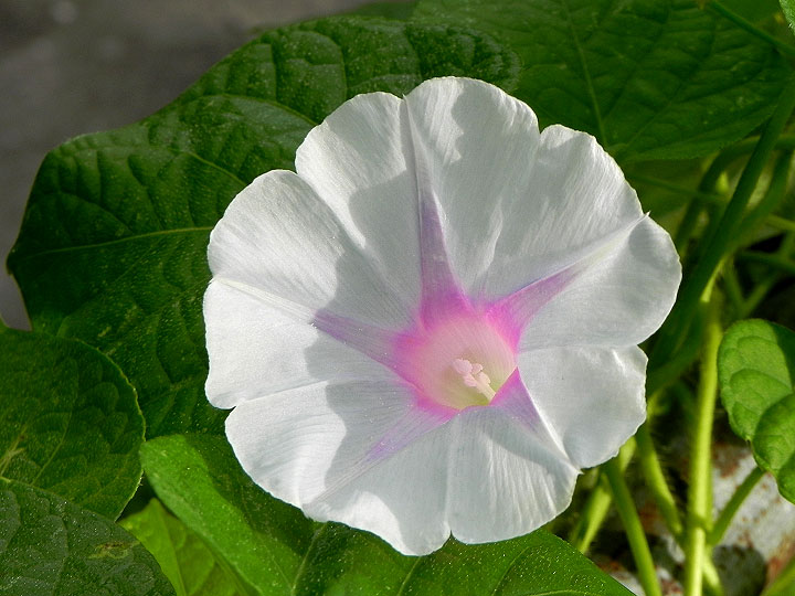 DSCN5566_01