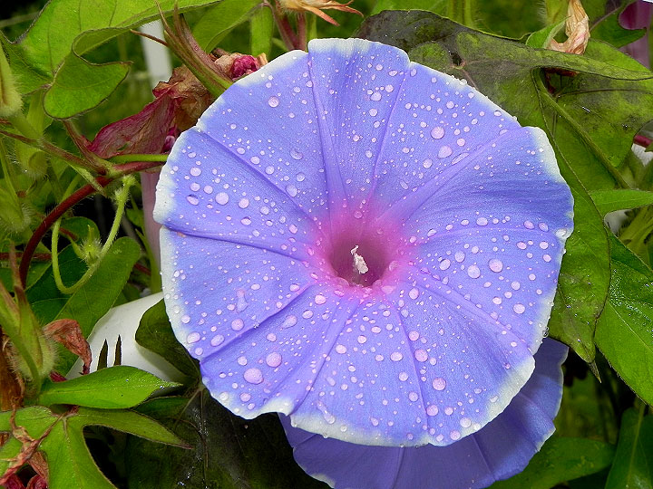 DSCN5621