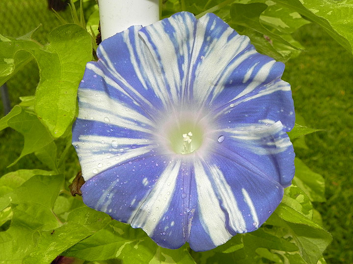 DSCN5639