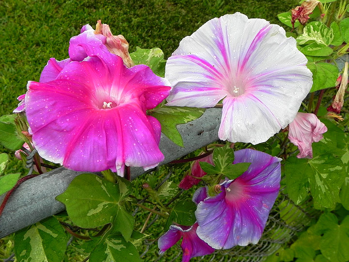 DSCN5658_01