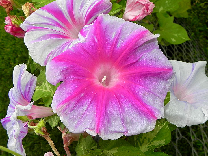 DSCN5662_01